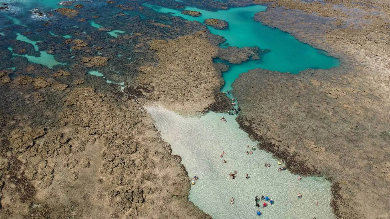 Passeio às Piscinas Naturais - Pro Dive Mergulho