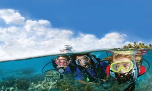 CURSO PADI SCUBA DIVER